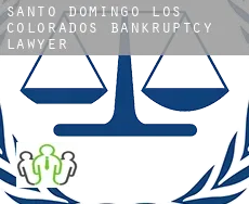 Santo Domingo de los Colorados  bankruptcy lawyer