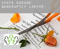 Gold Coast  bankruptcy lawyer