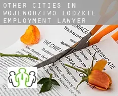 Other cities in Wojewodztwo Lodzkie  employment lawyer