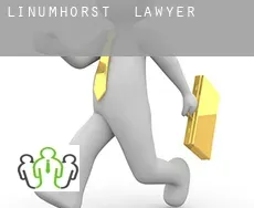 Linumhorst  lawyer