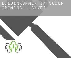 Liedenkummer im Süden  criminal lawyer