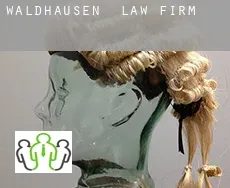 Waldhausen  law firm