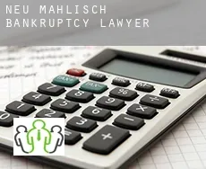 Neu Mahlisch  bankruptcy lawyer