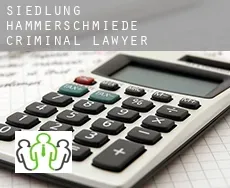 Siedlung Hammerschmiede  criminal lawyer