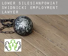 Powiat świdnicki (Lower Silesian Voivodeship)  employment lawyer