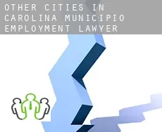 Other cities in Carolina Municipio  employment lawyer